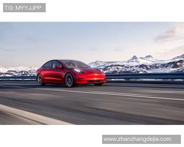 特斯拉足球球星的崛起与挑战:从天才少年到世界级球员的传奇之路